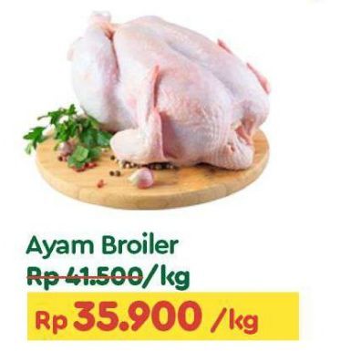 Ayam Broiler  1000x