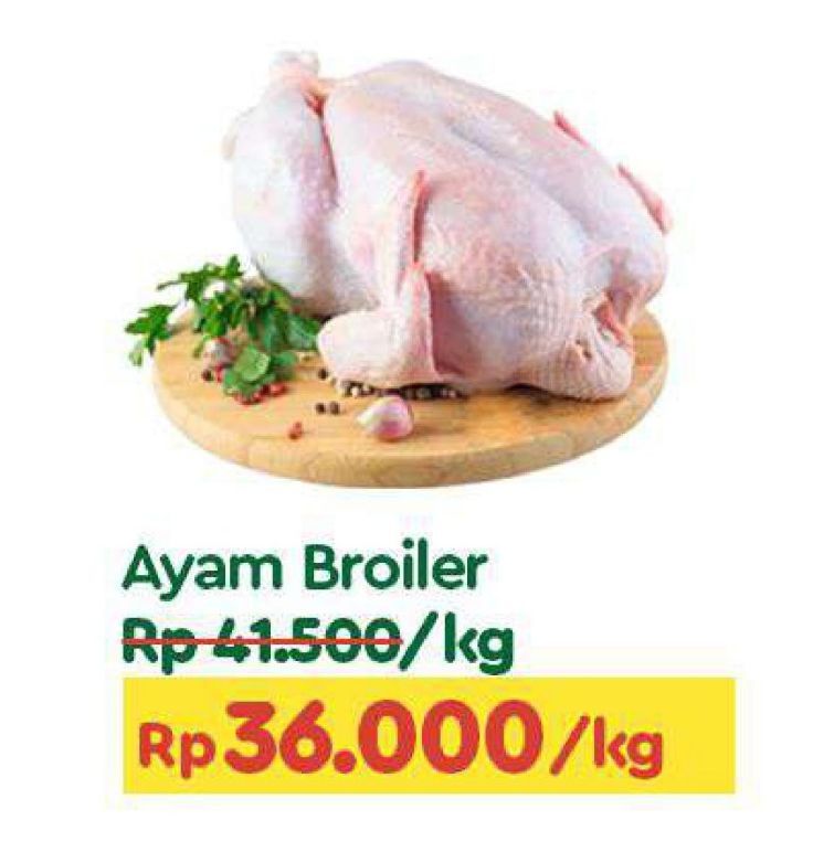 Ayam Broiler  1000x