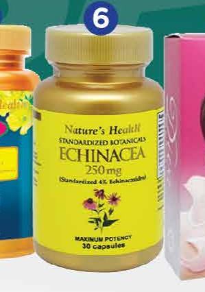 Natures Health Echinacea