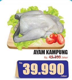 Ayam Kampung  500 gr